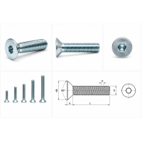 SURUB CAP TESIT IMBUS M 4* 8-7991/8.8ZA _799180408 SURUB CAP TESIT IMBUS M 4* 8-7991/8.8ZA _799180408